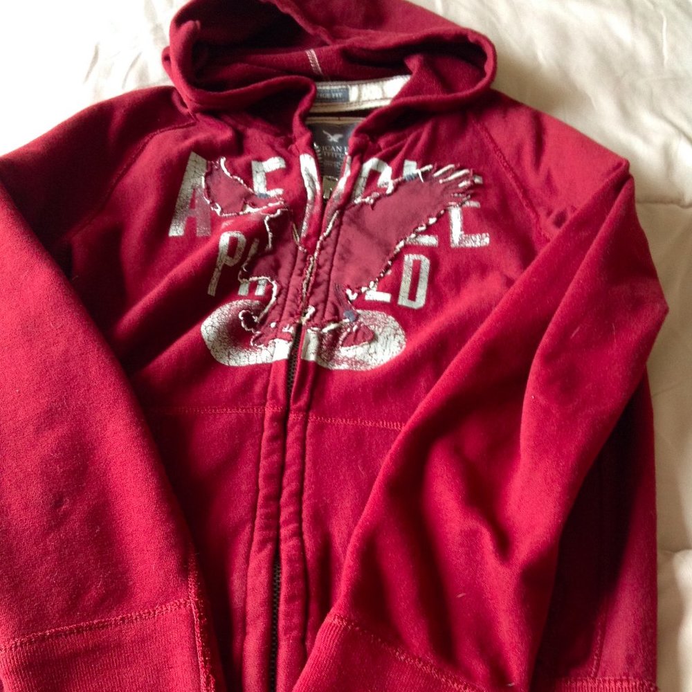 American Eagle Vintage Fit Hooded Sweatshirt - Picture 3 of 9